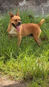 BILLY Imagen 5